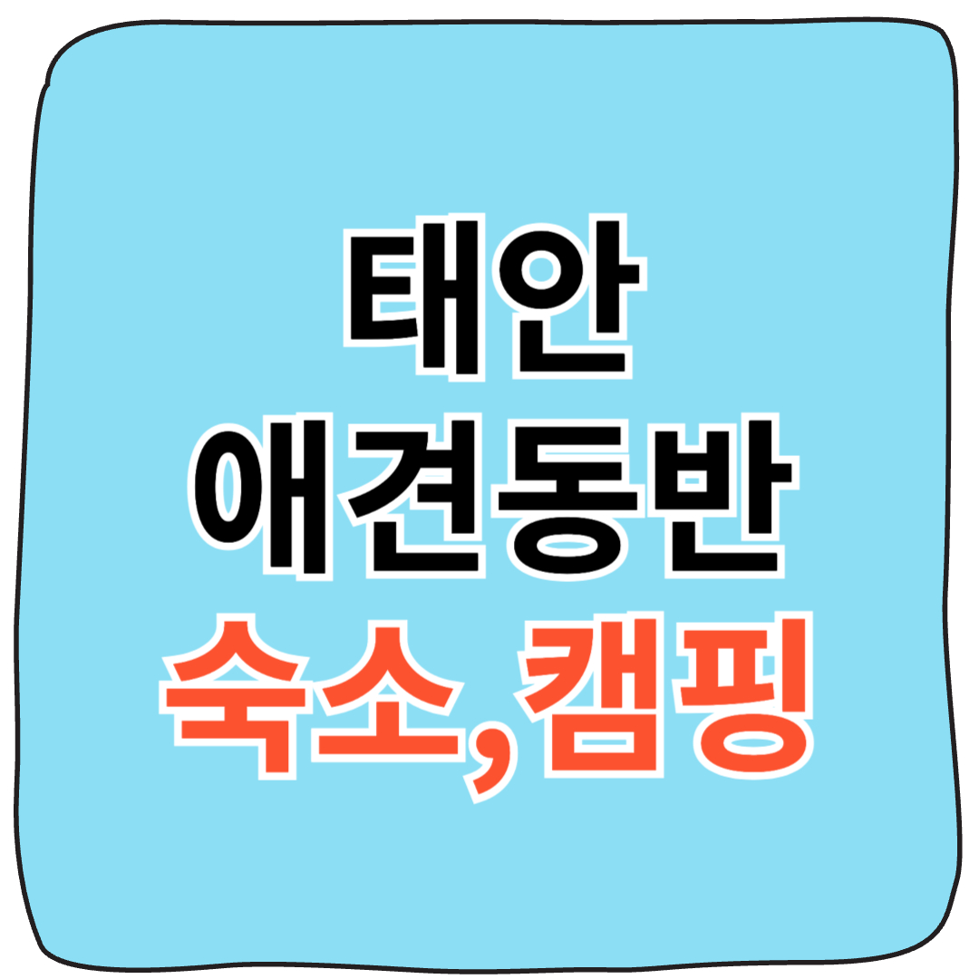 선착순 마감 ! 태안 애견동반 펜션,캠핑장,글램핑 최대 7만원 할인 예약!!