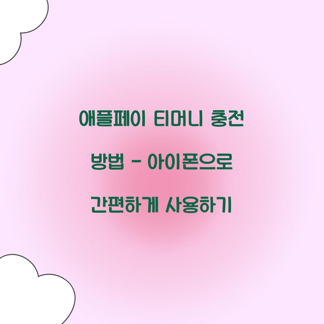 애플페이 티머니 충전