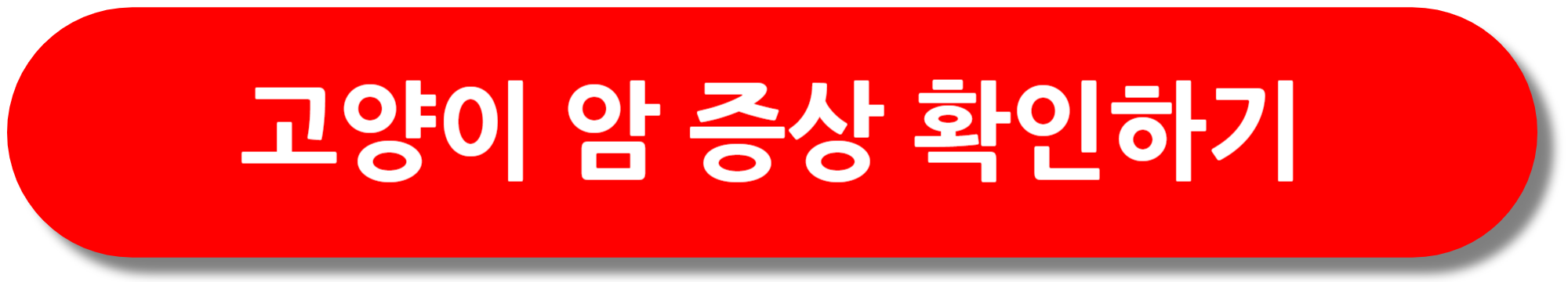 고양이-암-증상