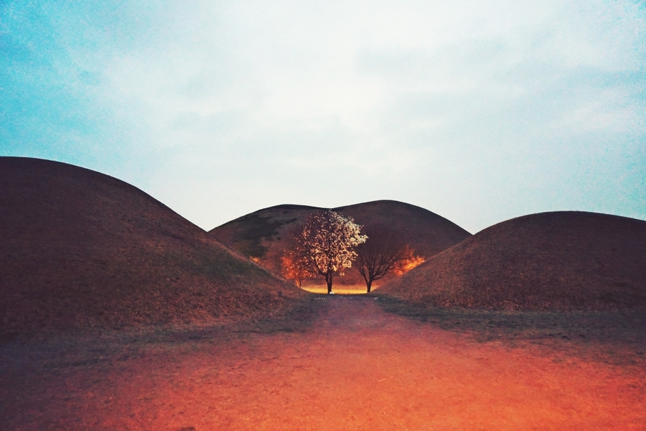 경주 가볼만한 곳 베스트 10 (2025 최신판)