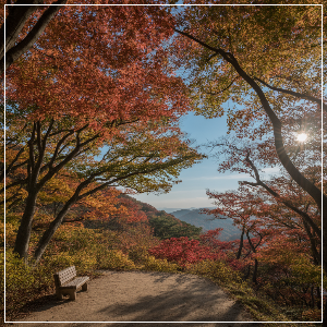 2025년 단풍 절정 시기 – 강원권 단풍 명소 가상 이미지