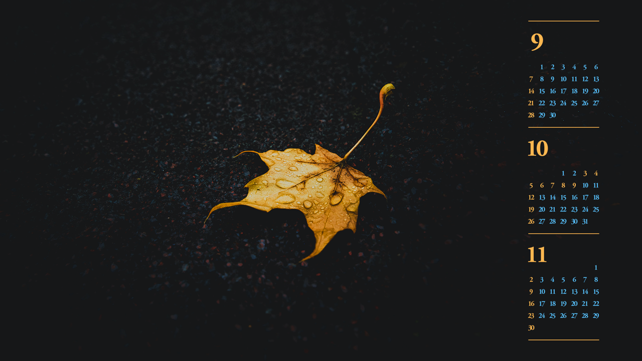 09 낙엽 B - 2025년10월 노트북배경화면