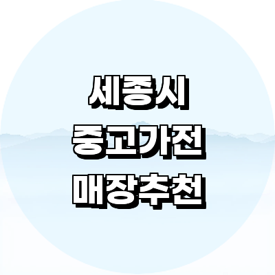 세종시 중고가전