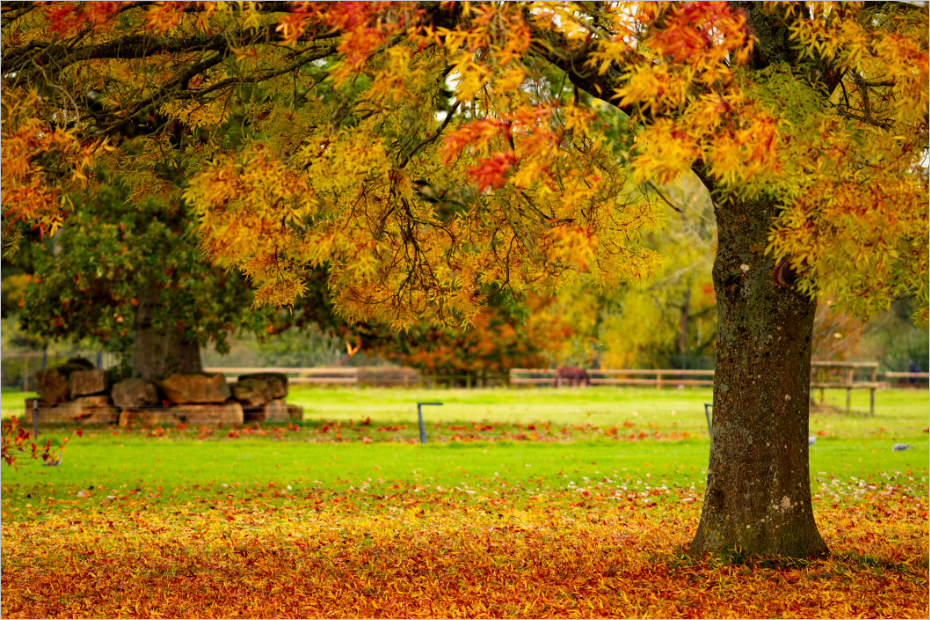 국민연금&middot;기초연금 실수령액 2.1% 더 받는다 - 내 연금 계산 및 놓치면 안 될 3가지 변화(2026년 1월부터 실시)