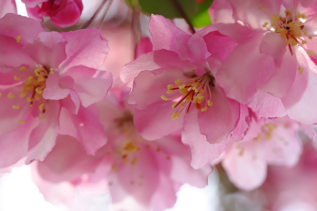 5월 인사말 모음! 40가지 꼭 전하세요