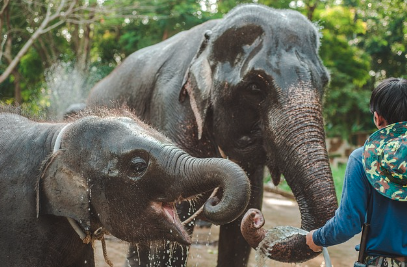 태국 푸켓 커플여행