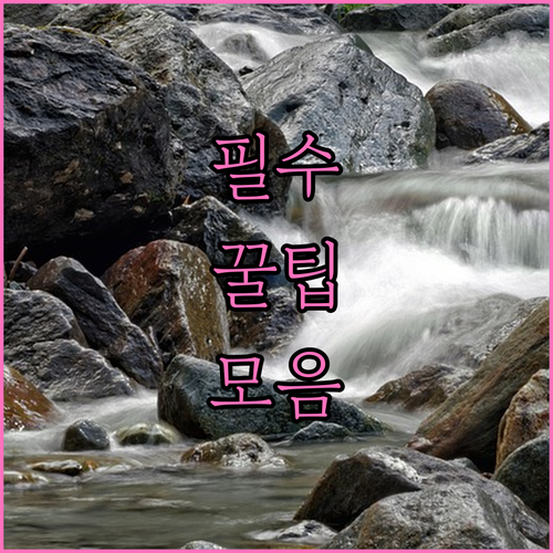 천성동 대형폐기물 비용 절약하며 올바..