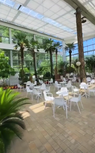 용인 자작나무숲 봄꽃 축제