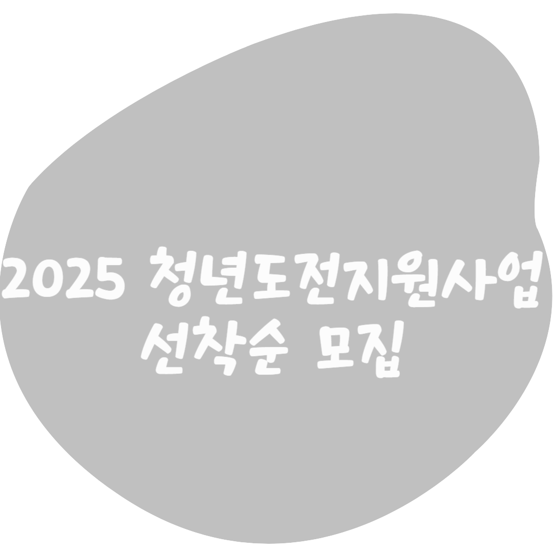 2025 청년도전지원사업으로 다시 도약하자