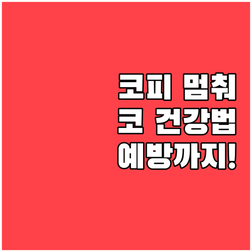코피 멈추는 법부터 예방까지! 코 건