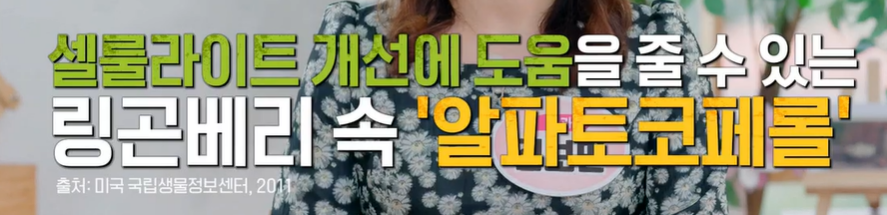 링곤베리 효능