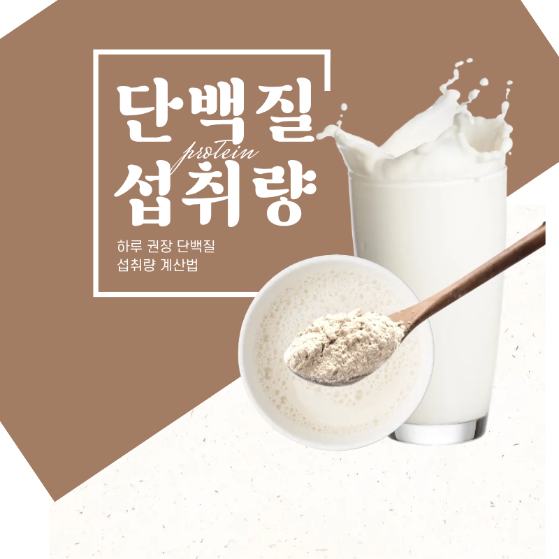 하루 단백질 섭취량 제대로 계산하는 방법