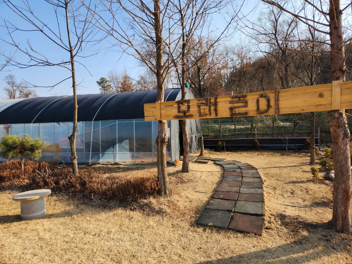 구미 산동 모캄보