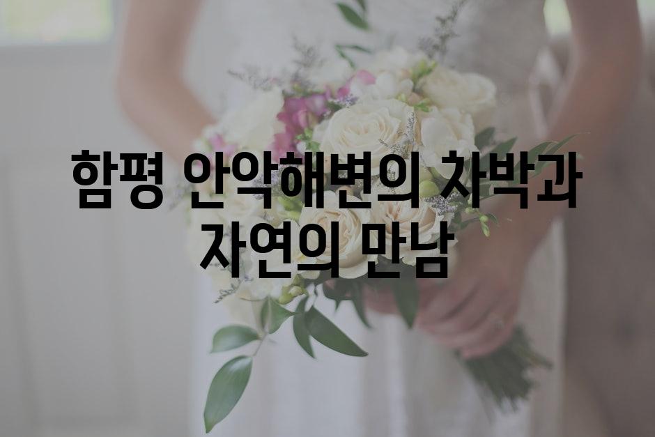 샘플 (71)