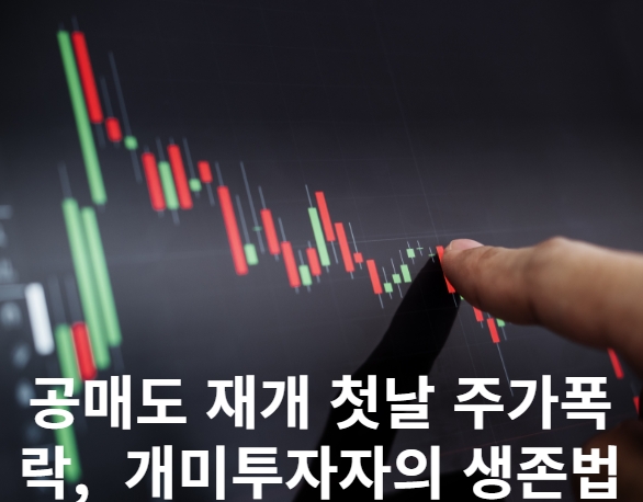 공매도 재개 첫날, 주가폭락? 개미투자자의 생존법