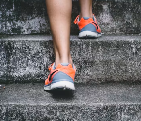 고지혈증 치료법 진단기준 예방