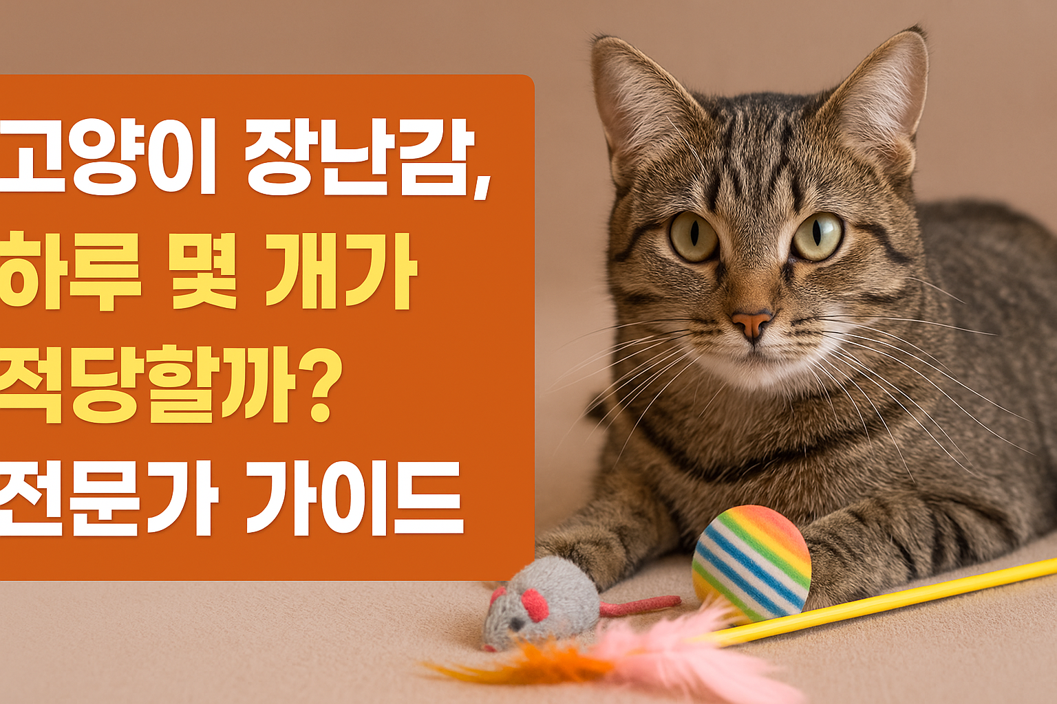 고양이 하루 장난감 개수의 진실
