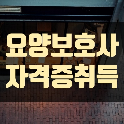 요양보호사