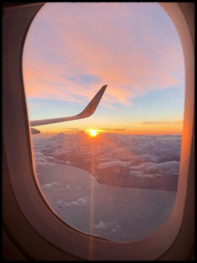 제주항공 대안-대한항공 vs 아시아나 비교