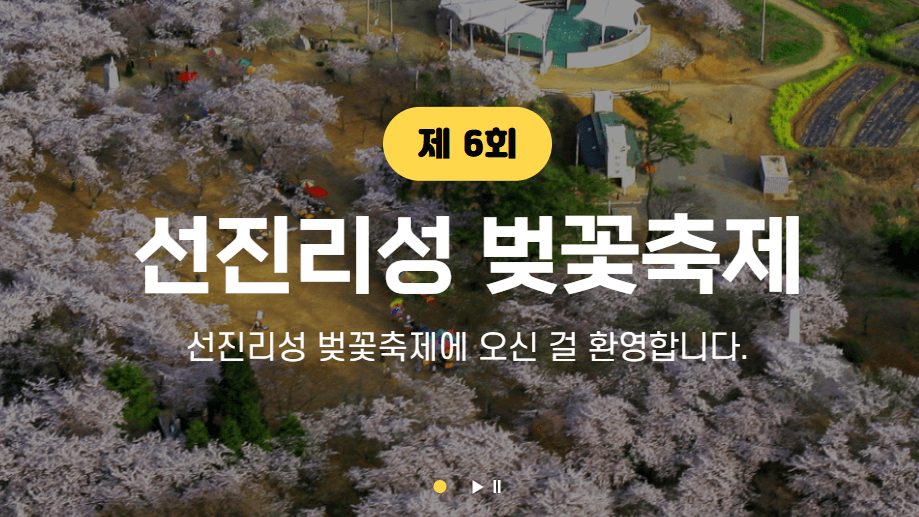 2025년 전국 벚꽃 축제 일정