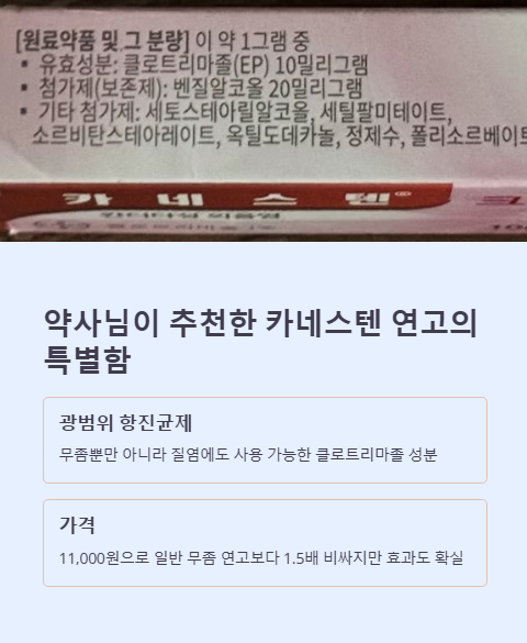 약사님이 추천한 카네스텐 연고의 특별함