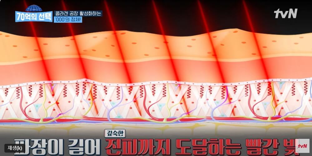 70억의 선택 콜라겐