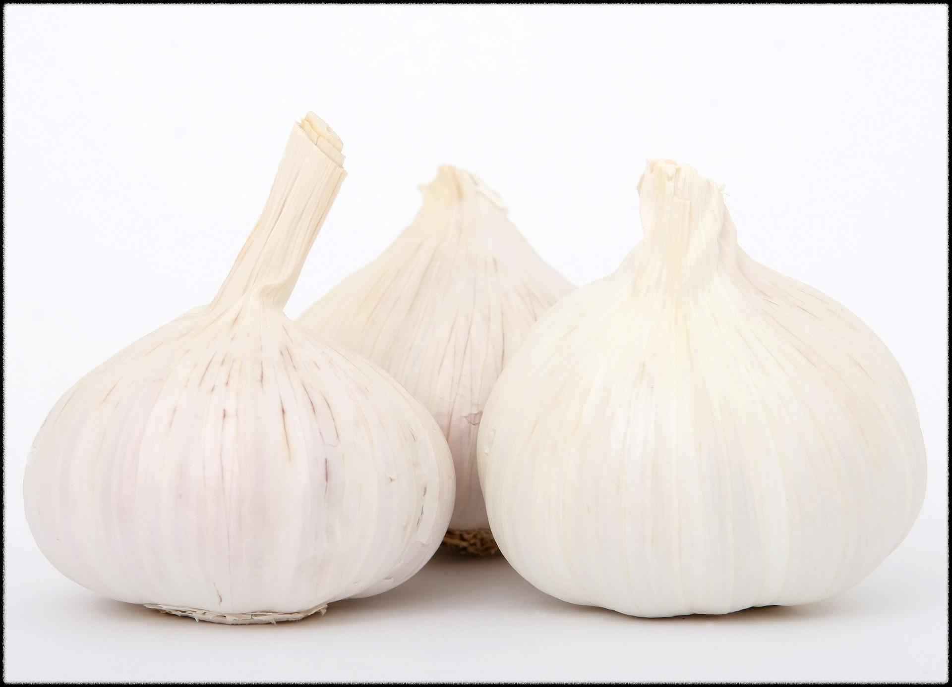 마늘 효능 이미지20