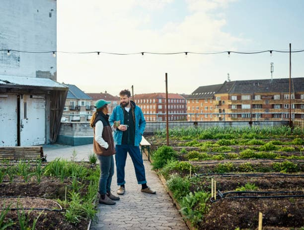 전 세계의 성공적인 공동체 도시 농업 사례 5가지