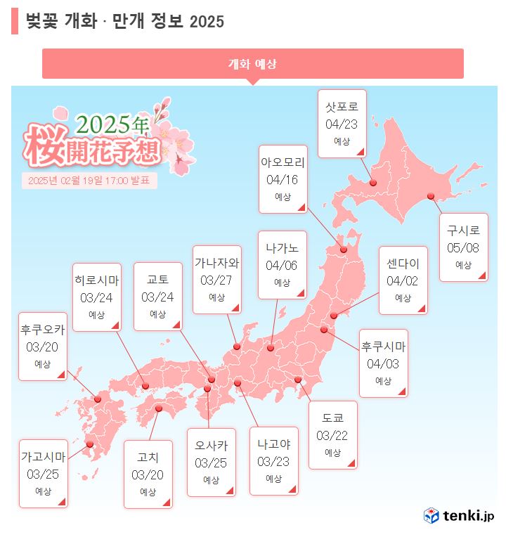 일본 벚꽃 개화 시기