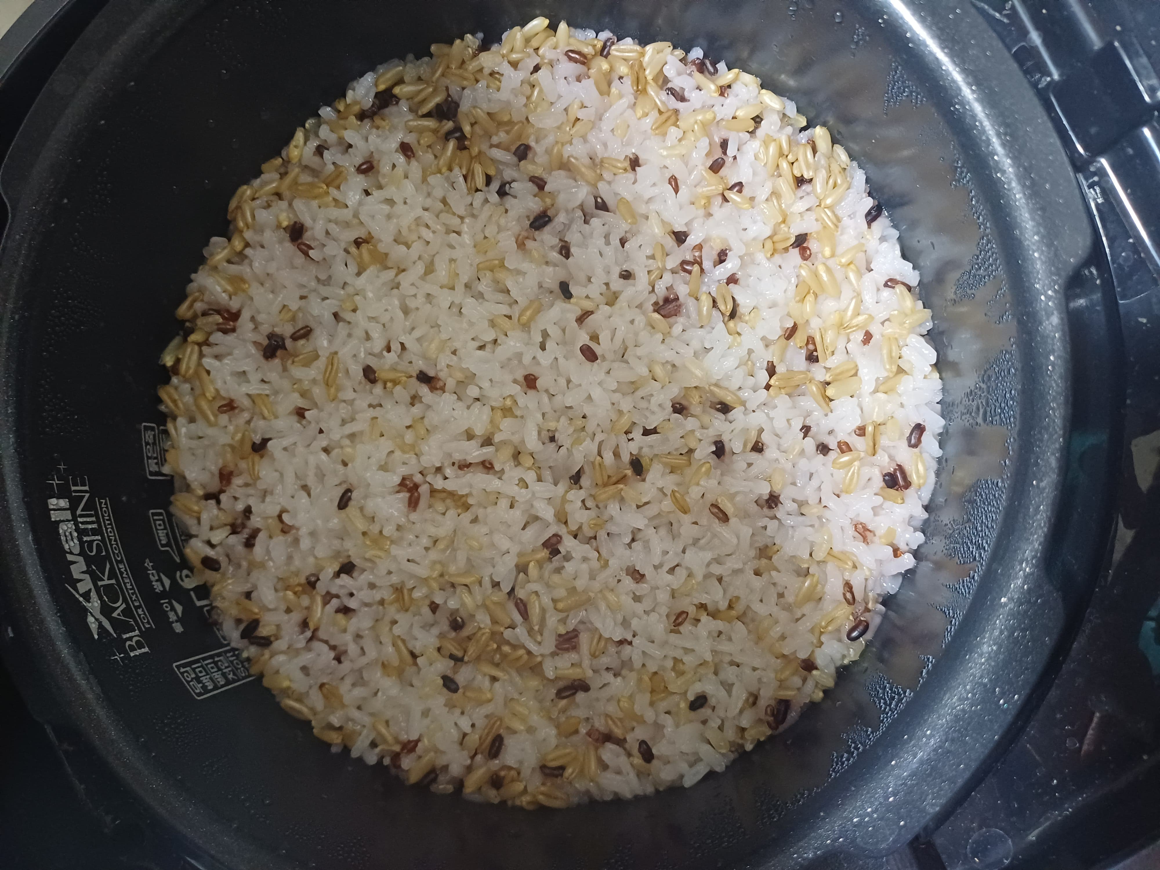 밥맛을 결정하는 핵심은 ‘물 비율