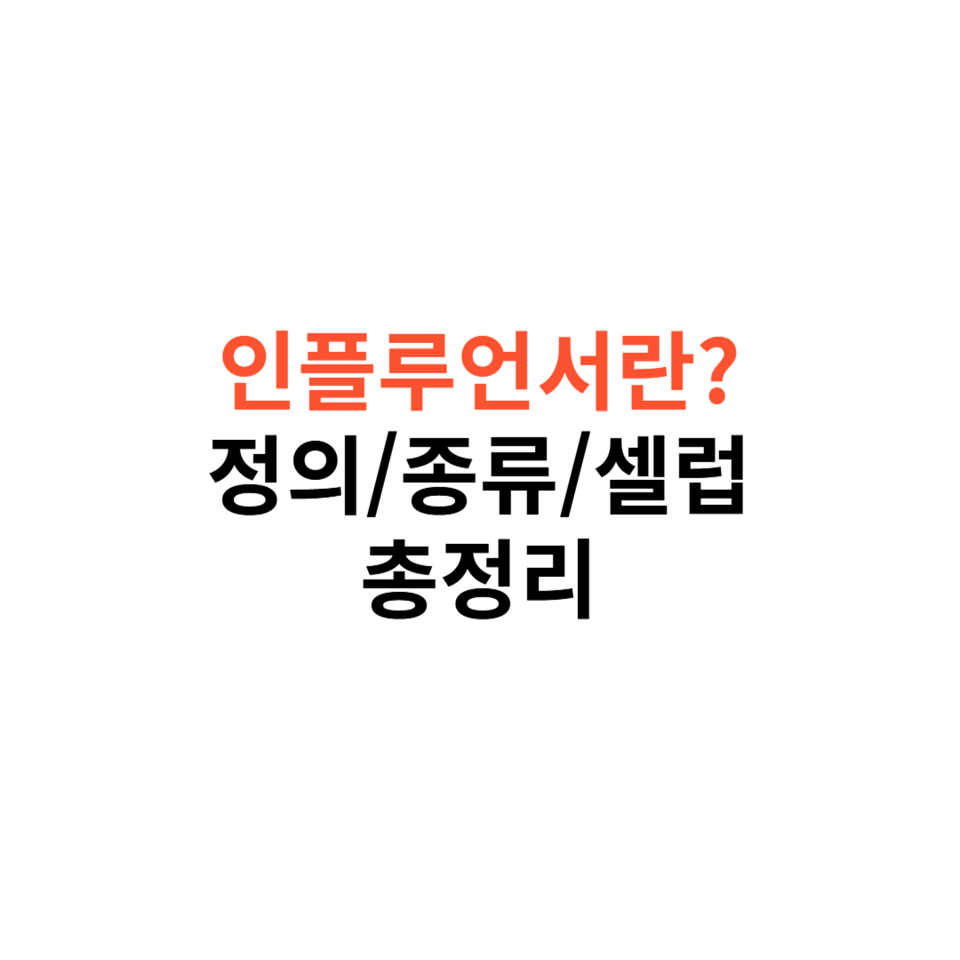인플루언서