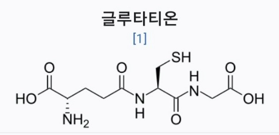 글루타치온 효능 부작용 및 글루타치온 많이든 음식 정리