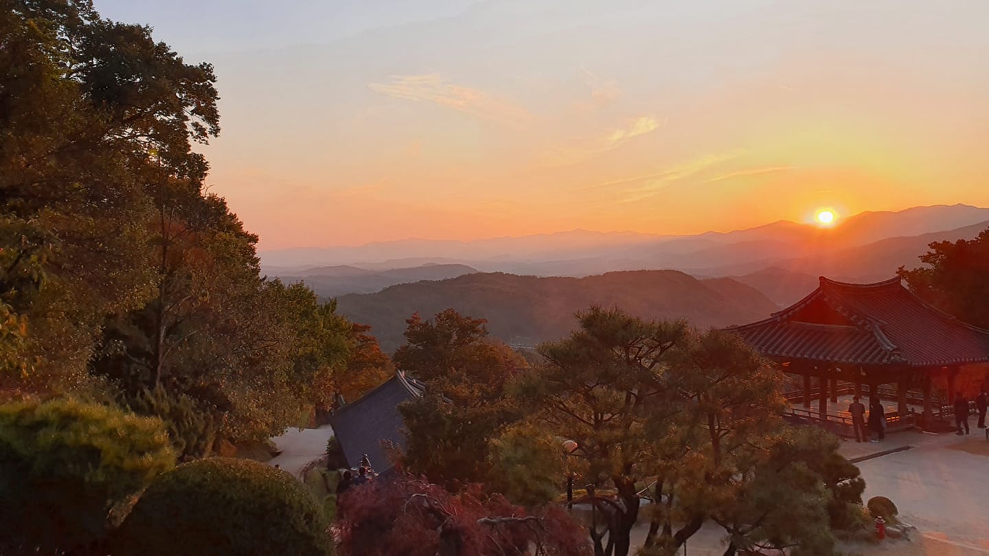 야간 빛 풍경(갤러리2)