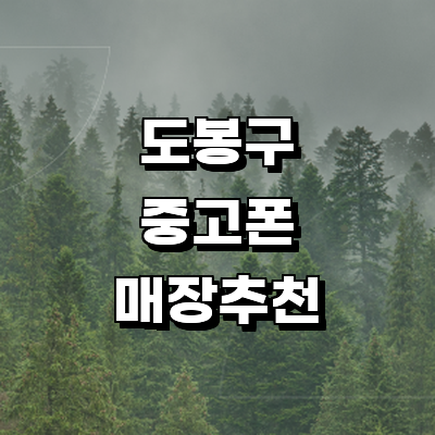 서울 도봉구 중고폰