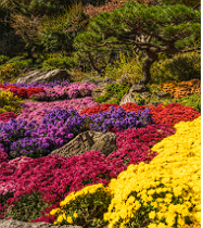화담숲 예약