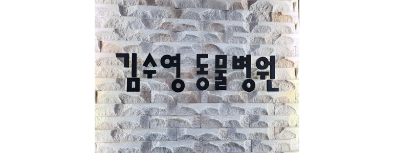 천안 서북구 동물병원