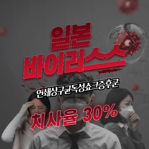 일본바이러스 치사율 30%