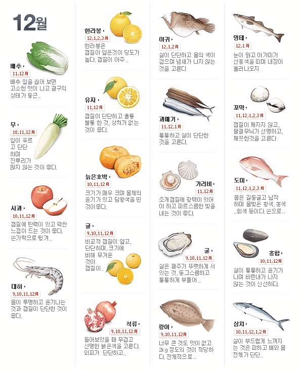 12월 제철음식