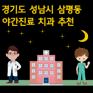 성남시 삼평동 치과 야간진료 병원 추천