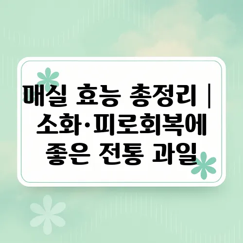 매실 효능 총정리│소화·피로회복에 좋은 전통 과일