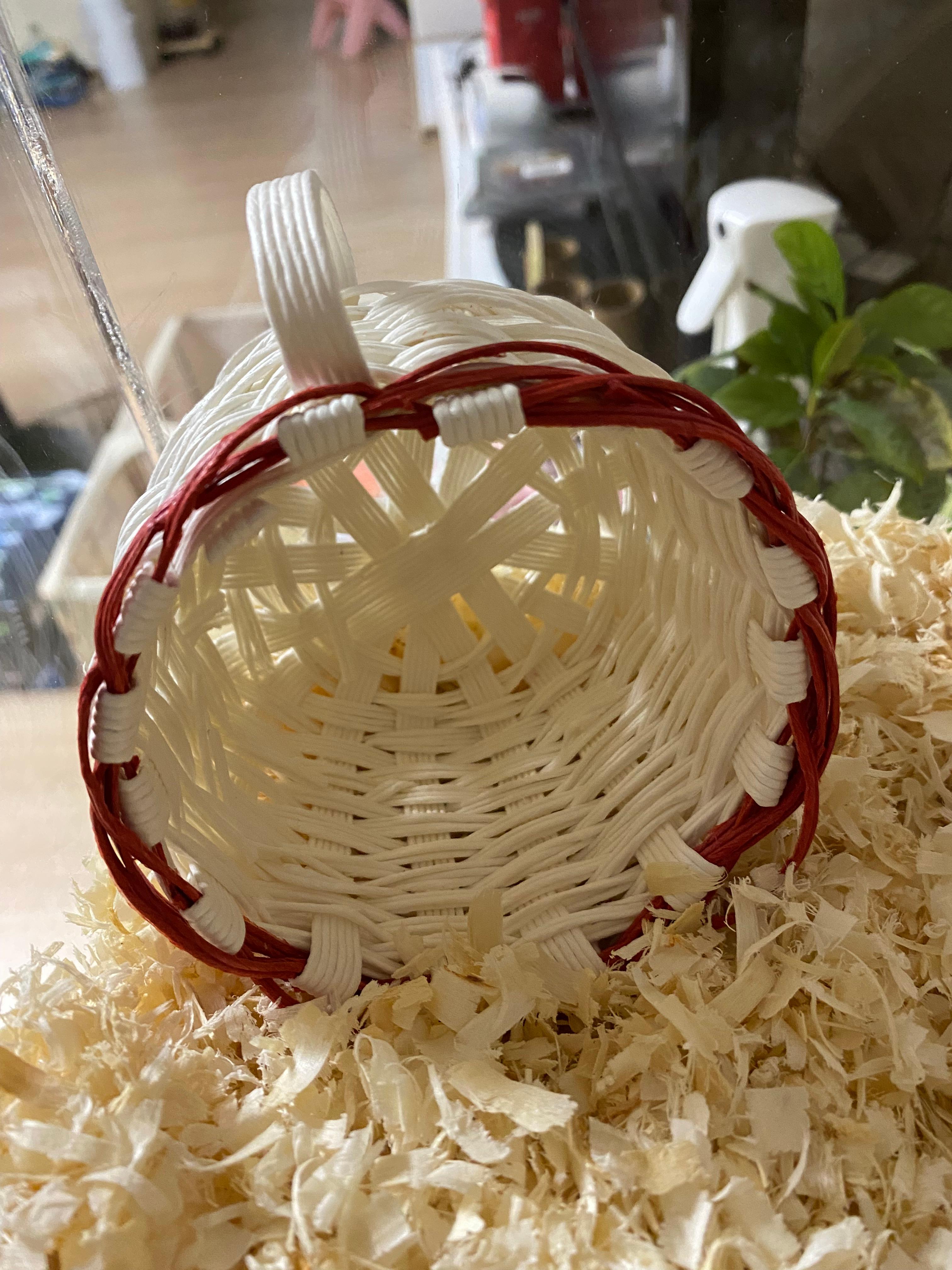 햄스터 집에 배치해놓은 티컵사진