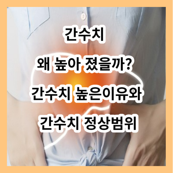 간수치높은 이유와간수치 정상범위