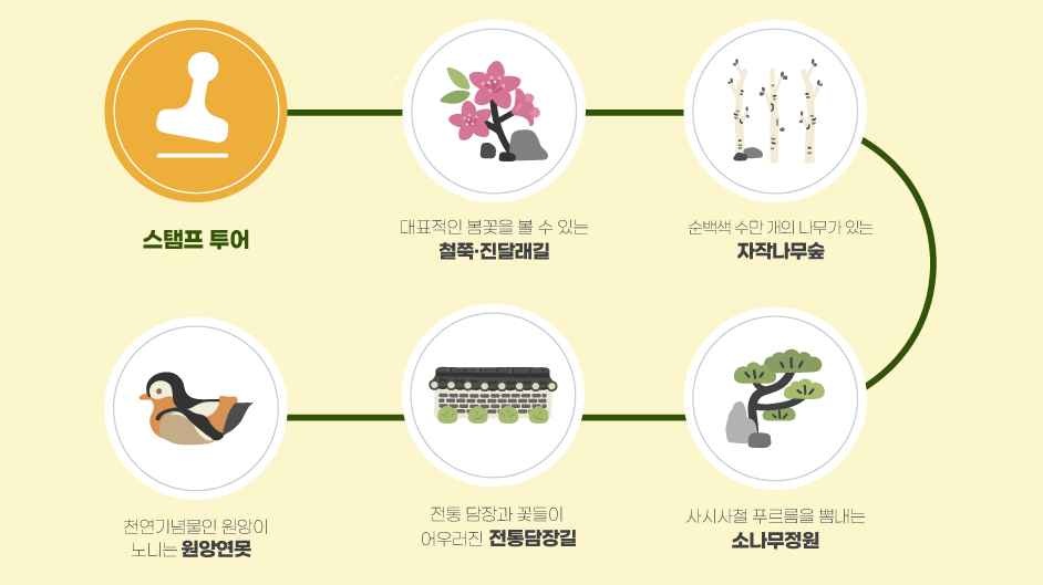 화담숲 여름 수국 축제