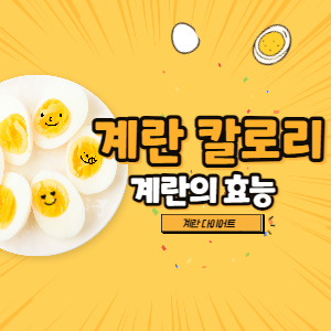삶은계란 칼로리 효능 다이어트