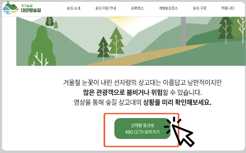 선자령 실시간 cctv, 날씨_3