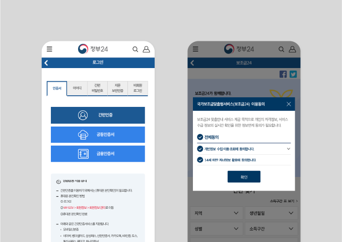 정부지원금