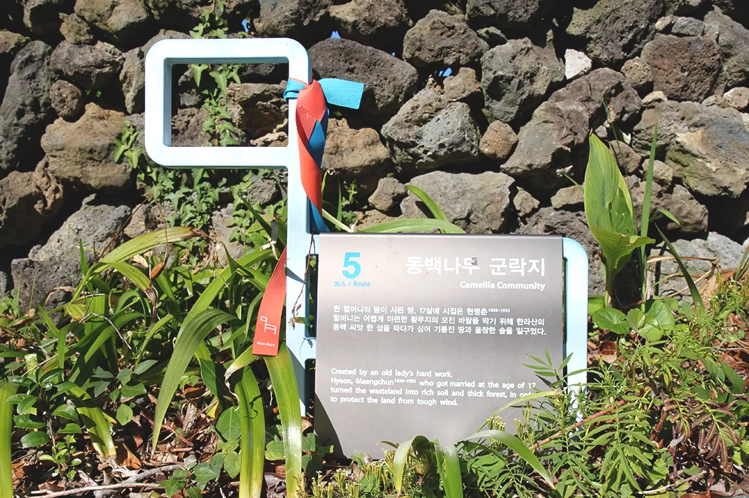 제주 올레길 5코스 남원 - 쇠소깍 올레 초보자를 위한 완벽 가이드