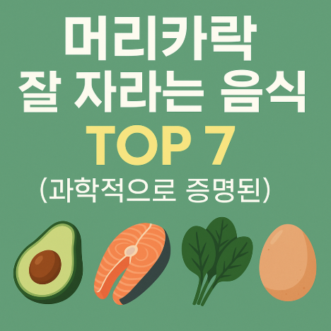 머리카락 잘 자라는 음식 추천 관련 사진