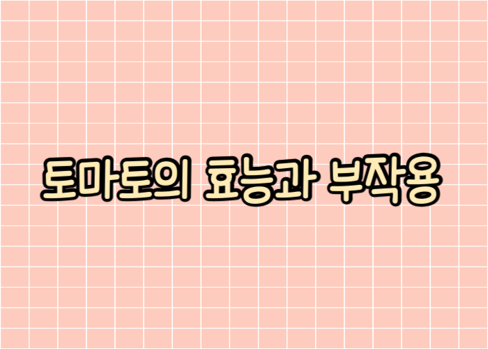 토마토의 효능과 부작용 글자이미지