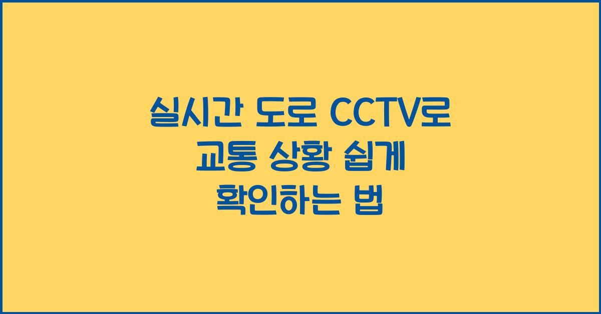 실시간 도로 cctv